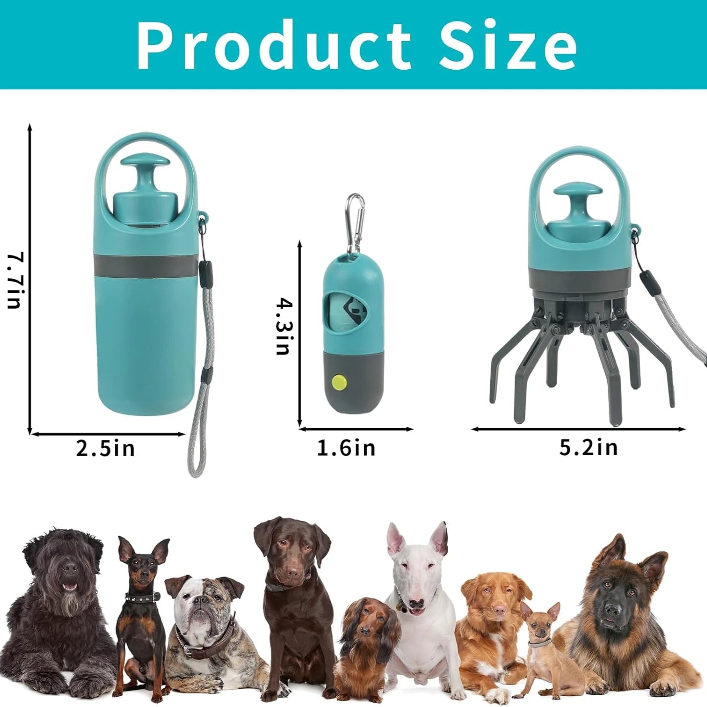 Set of three teal pet products with measurements and a group of dogs below.